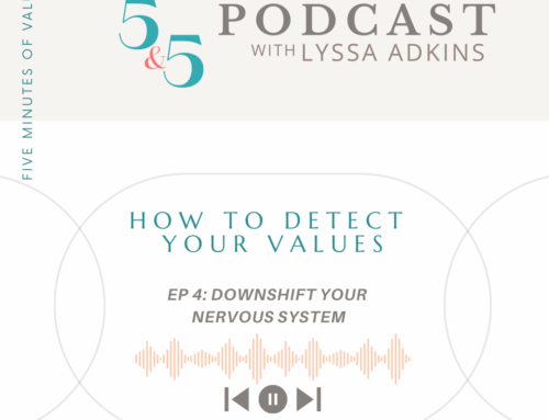 5&5 Season 3 Ep 4 – Downshift your nervous system